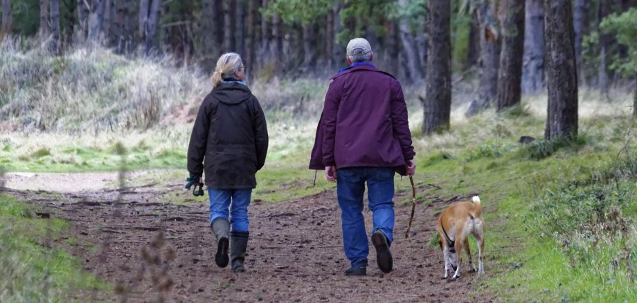 Couple with leashed dog in the forest