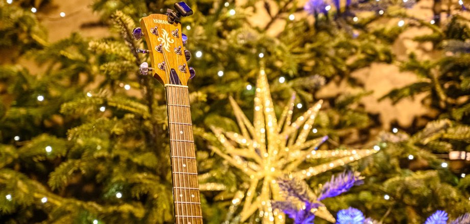 Am Baum hängender Weihnachtsstern