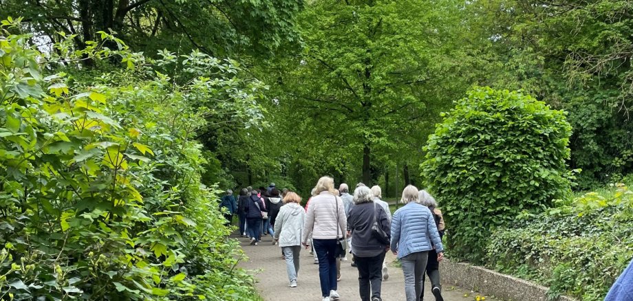 Frauen gehen gemeinsam spazieren